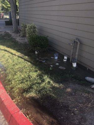 Leaking sewage I called about, nobody cared to look at it all day.