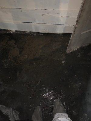 Sewage damage (before)