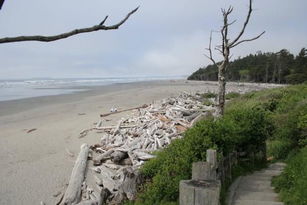 Beaches of Washington in the Pacific Northwest