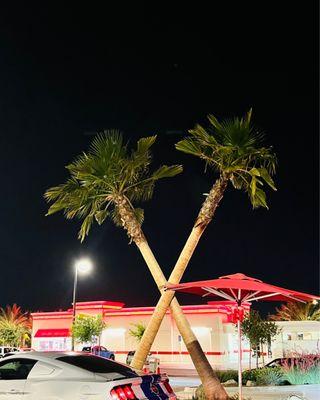 I don't miss California but I do miss In-n-Out!