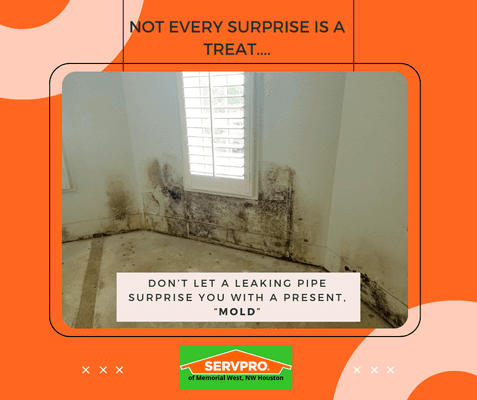 Hidden mold during a Houston homeowner's removal exposed mold damage, and required mold removal.