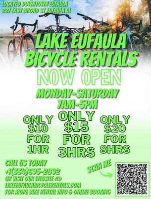 Bicycle rental