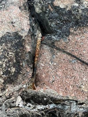 Rusted nails, melted glass and aluminum in and around the ground by the illegal firepit.