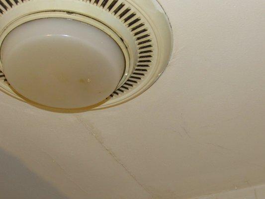 Water is dripping from the bathroom ceiling light fixture and from the ceiling itself.