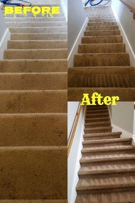 Stairs steam cleaned