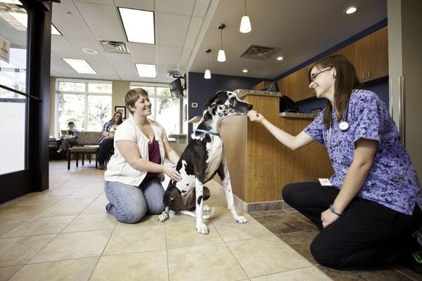 Greeting a patient in the lobby.