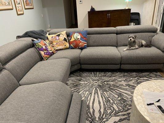 Talin sectional with nice Living Spaces rug