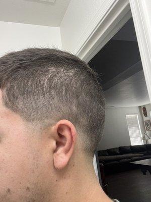 Terrible fade