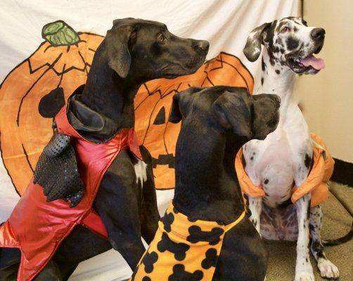 Howl-O-Ween fun with the Dane's.