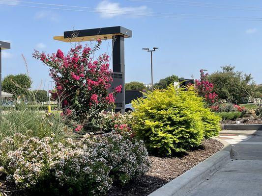 Fastest and most colorful drive thru experience I've had at a McDonald's