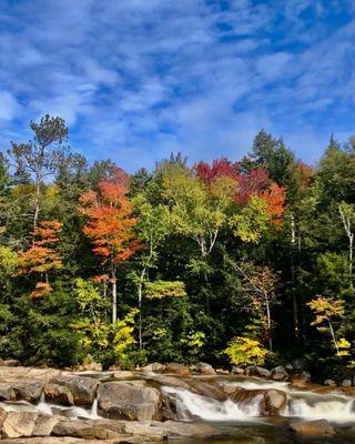 Lower Falls