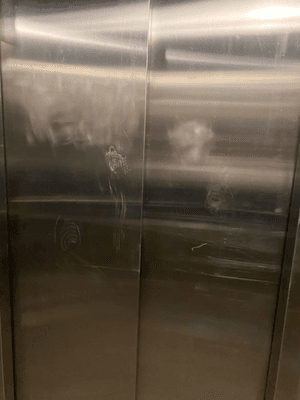 Here is what living at Auden was truly like - elevator