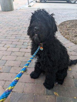 Before getting her first haircut at 5 months old