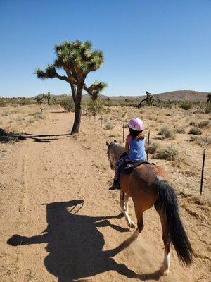 Equestrian trail