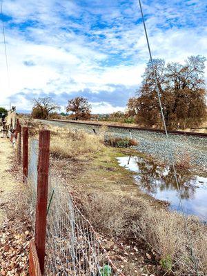 Picture of the railroad tracks behind Lebber's.