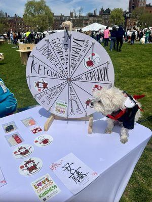 Holistic dentist giveaway wheel, and  my cute samurai dog,  at Japan festival Boston