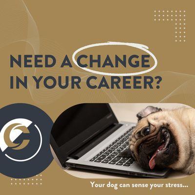 Embrace a happier career, and watch your dog's tail wag with joy!