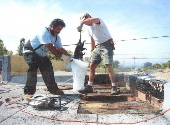 Ken pulling a dead possum out of a roof!