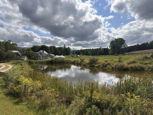 The pond of the Remick farm.