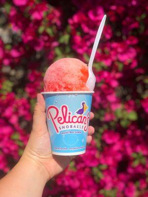 Pelican's Snoballs