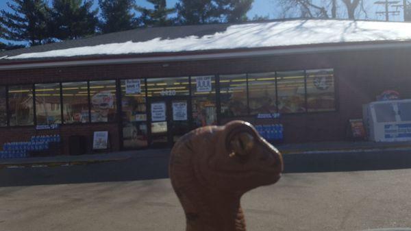 Bob the Raptor says "Mammals come here to get gas and stuff.