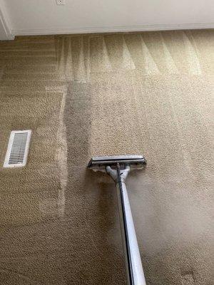 carpet cleaning near me