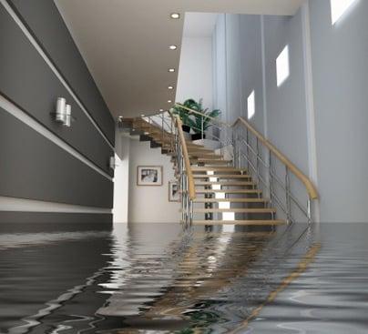 Flood- This damage is caused by rising water & handled by the National Flood Insurance Program.