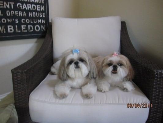 Bella and Bailey