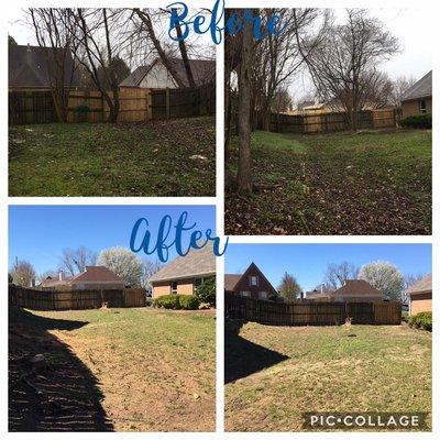 This is the before and after of a house we did.  Just in the backyard we cut down 20 trees and opened up the yard completely