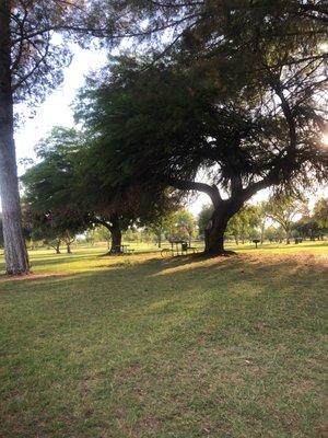 Picnic benches