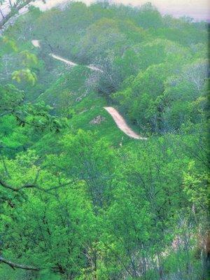 One of the trails, maybe Ridge Trail