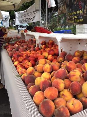 Peaches as far as the eye can see