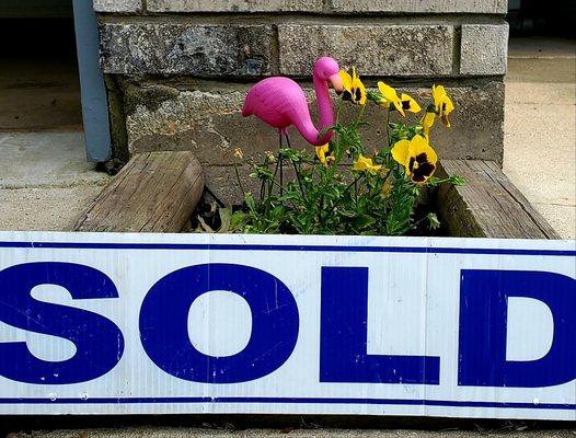 1st time home buyer's saw a flamingo and knew it was "The One"!