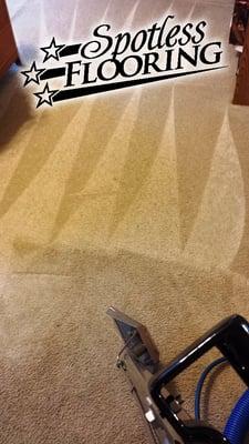 A Professional Difference - carpet cleaning