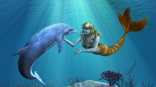 Mermaid meets dolphin