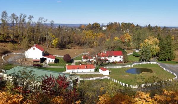 A view from above of the farm