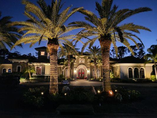 Beautiful landscape lighting project completed in Naples, FL