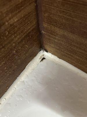 One of the several mold spots in the shower.