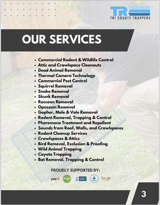 OUR SERVICES!