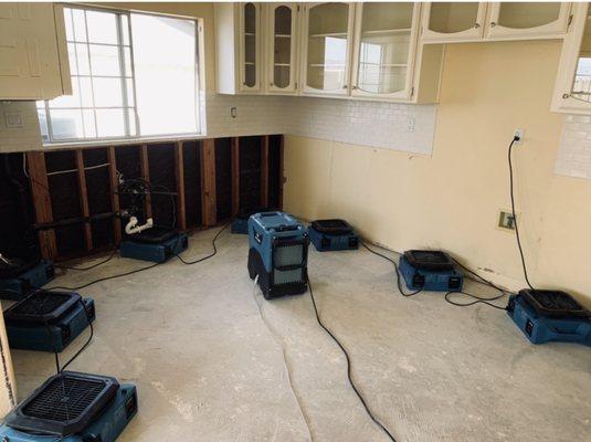 Our kitchen getting dried.