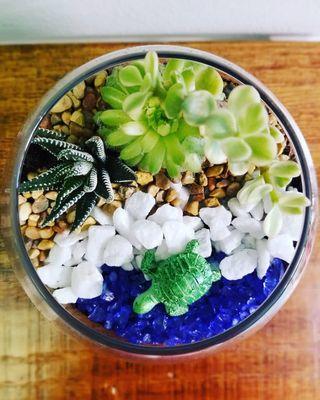 Build your own terrarium