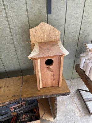 Screech Owl house!