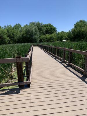 Bluff Lake Boardwalk