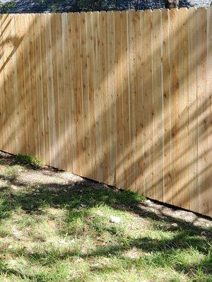 We just had a fence built by Mandujano's Fencing & Painting.