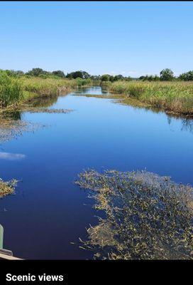 Gorgeous view on the swamp trail