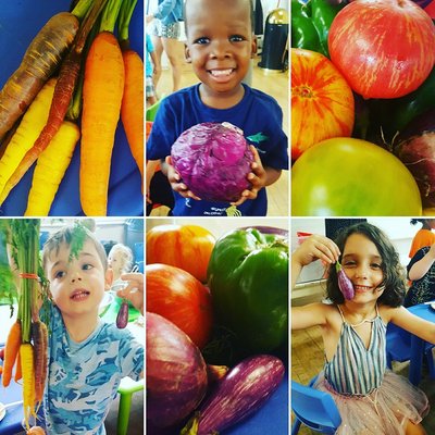 Farm to table preschool