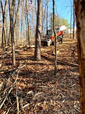 Forestry Mulching in Delaplane Virginia!