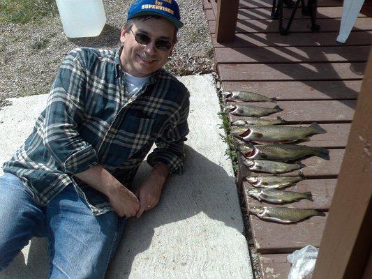 Trout, not all of which were caught in the campground.