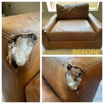 Before pic of our brand new, puppy-chewed leather chair