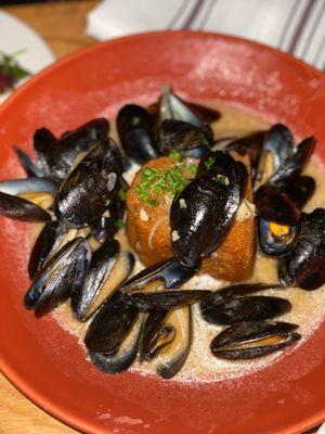 Mussels not greatest size